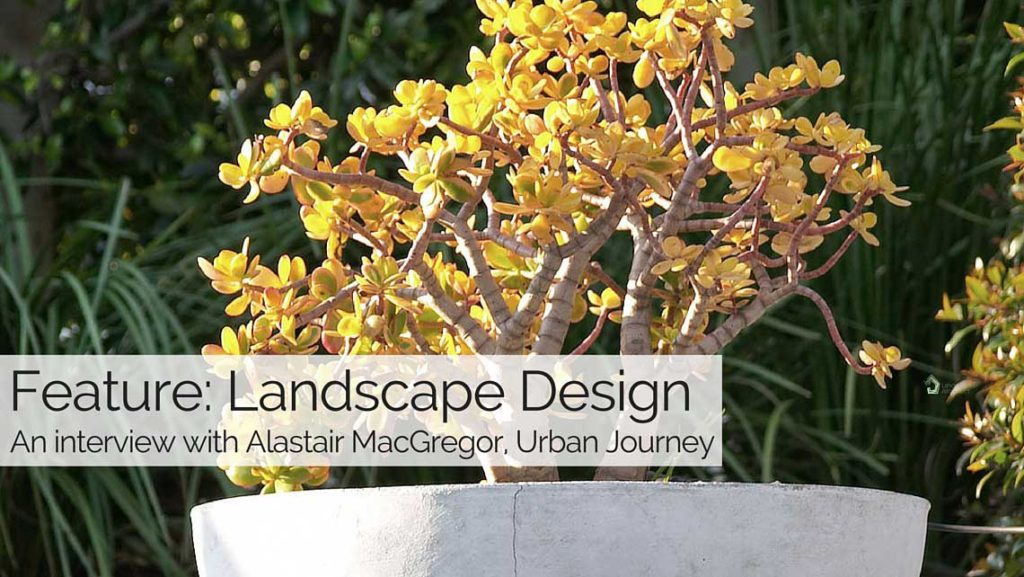 UndercoverArchitect-Urban-Journey-LandscapeDesign
