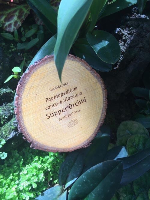 Each plant in The Spheres is identified with these fantastic timber signs