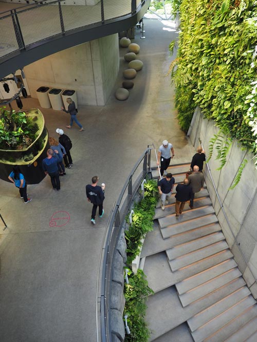 Looking down on the entry stair, where you arrive into The Spheres, adjacent to the vertical wall garden.